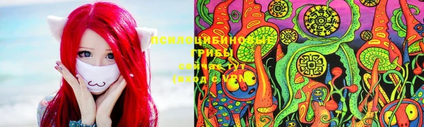 мяу мяу мука Кинешма
