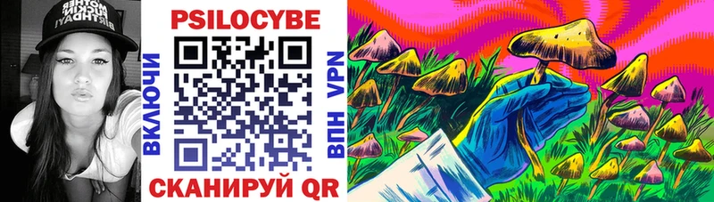 Купить  Андреаполь  Галлюциногенные грибы Cubensis 